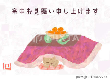 2025年　巳年　こたつで過ごす猫とへびのお正月　寒中見舞い　横 120877743