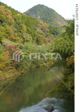 関市下之保の津保川の清兵衛渕の紅葉 120878234