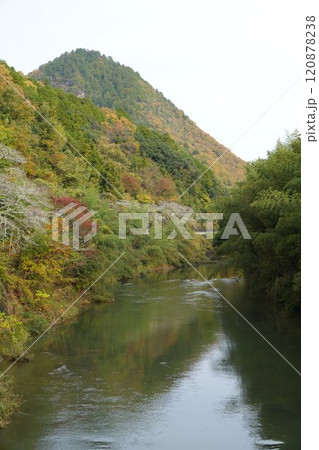 関市下之保の津保川の清兵衛渕の紅葉 関市下之保の津保川の清兵衛渕の紅葉 120878238