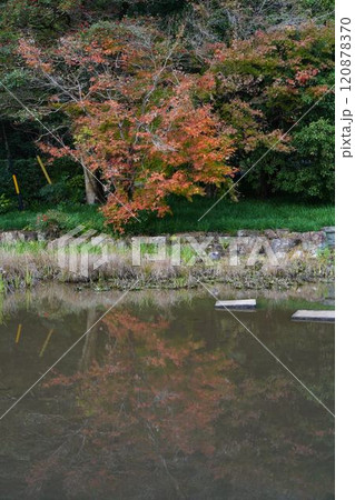 大智寺の紅葉 120878370