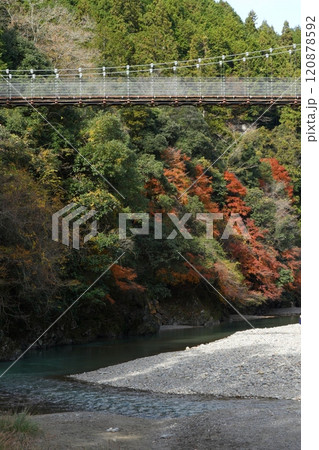 晩秋の多良峡の紅葉 晩秋の多良峡の紅葉 120878592