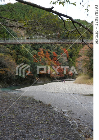 晩秋の多良峡の紅葉 120878593