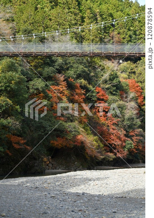 晩秋の多良峡の紅葉 晩秋の多良峡の紅葉 120878594