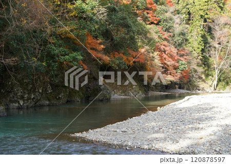 晩秋の多良峡の紅葉 晩秋の多良峡の紅葉 120878597