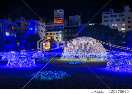 約100万球の輝き　冬の天文館ミリオネーション2025 120878630