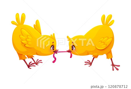 Cartoon chicks funny characters fighting for worm. Spring newborn hen baby cute personage, Easter holiday little chickens animal or farm two chicks cheerful cartoon isolated vector funny characters Cartoon chicks funny characters fighting for worm. Spring newborn hen baby cute personage, Easter holiday little chickens animal or farm two chicks cheerful cartoon isolated vector funny characters 120878712