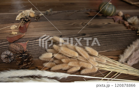 木の実と枯葉と秋の小物出作った・フレーム・枠・額縁（Type-3） 120878866