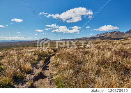 Volcanic Landscape hiking trail Tongariro, New Zealand 120878936