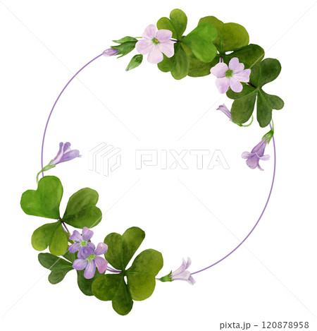 Watercolor round frame of vibrant green Oxalis Triangularis.  120878958