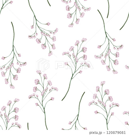 Seamless pattern A sprig of small, light, purple flowers. Dried Flower 120879081