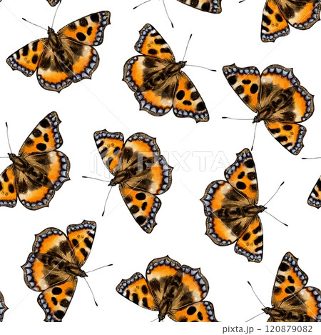 painted lady butterfly, watercolor Seamless pattern 120879082