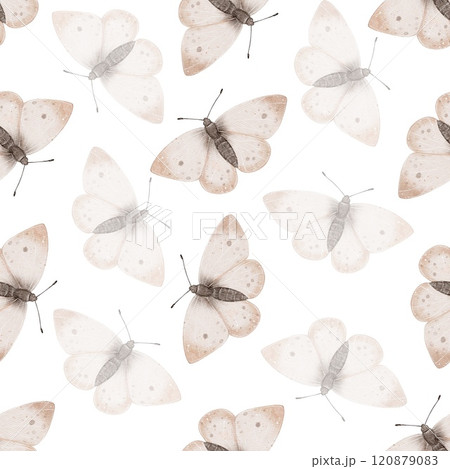 Seamless pattern Watercolor butterfly illustration 120879083