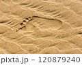 human footprints in the sand beach 120879240