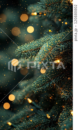 Close-up of fir branch with dew and lights in background. Christmas concept 120880802