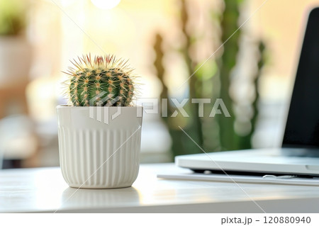 A small cactus in a white pot on a computer desk next to a laptop on a blurred background. 120880940