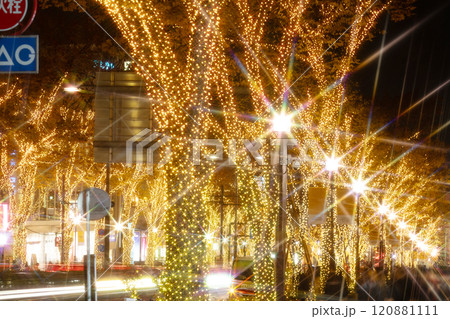 東京・表参道　クリスマスイルミネーション　2024 120881111