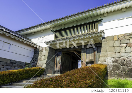 小田原城　常盤木門　神奈川県小田原市 120881119