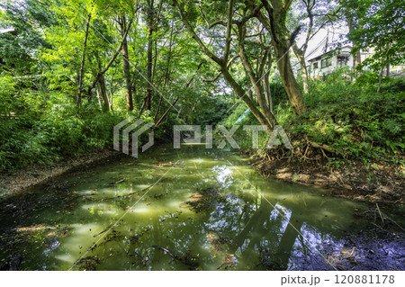 小田原城 小峯曲輪北堀 神奈川県小田原市 小田原城 小峯曲輪北堀 神奈川県小田原市 120881178