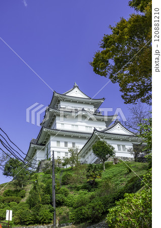 小田原城　天守　神奈川県小田原市 120881210