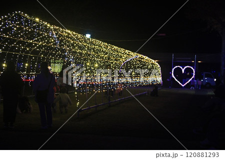 ｢光のトンネル｣は新作の一つ(2024.12.1) 町民の森公園イルミネーション2024点灯式より 120881293