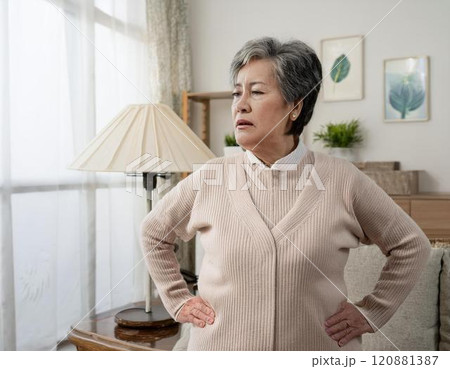 肥満に悩む女性 肥満に悩む女性 120881387