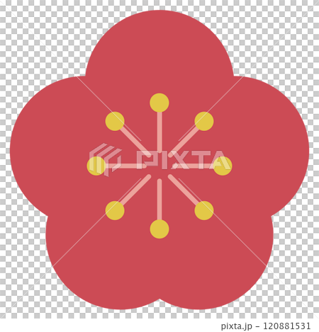 梅の花のベクターイラスト 120881531