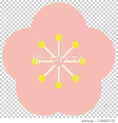 梅の花のベクターイラスト 120881532