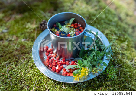 Metal camping mug with tea on aluminium plate among grass. Close up, focus on foreground.  120881641