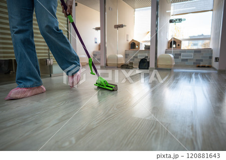 Staff mops floor to ensure hygienic, comfortable space for cats in pet hotel. Upkeep and sanitation Staff mops floor to ensure hygienic, comfortable space for cats in pet hotel. Upkeep and sanitation 120881643
