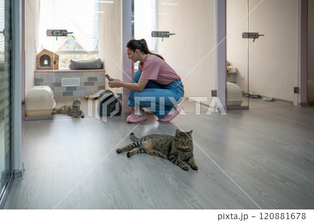 Woman hotel worker filming cat in suits, sending video update to owner during pet stay. Animal care 120881678