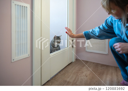 Hand of female owner rests on glass door of cat hotel room. Pet accommodations for safe, cat service 120881692