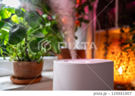 Air humidifier at home closeup, steam illuminated by grow light, potted plants on windowsill 120881807