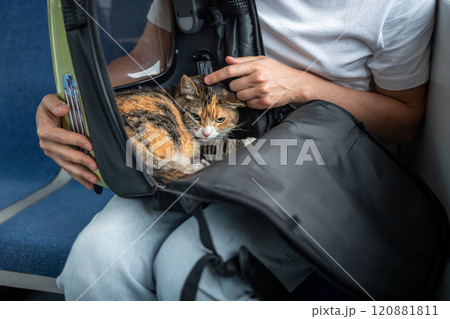 Man check cat comfort in travel friendly pet backpack on train journey. Stressed animal in carrier 120881811
