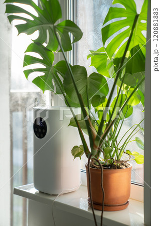Modern humidifier at home, moistens dry air surrounded by indoor plant. Apartment with moisturizer. Modern humidifier at home, moistens dry air surrounded by indoor plant. Apartment with moisturizer. 120881883