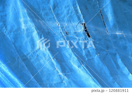 ブルーシート 120881911