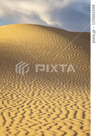 Beautiful sand patterns over untouched dune at sunset, portrait 120882099