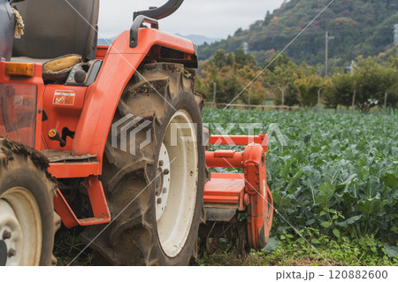トラクターによる畑の土 トラクターによる畑の土 120882600