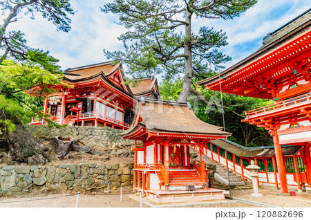島根 日御碕神社 楼門前の門客人社から神の宮を見上げる 島根 日御碕神社 楼門前の門客人社から神の宮を見上げる 120882696