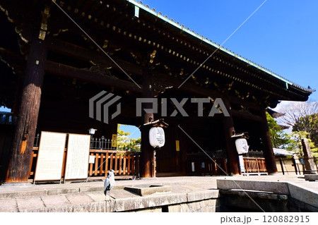 京都府 東寺・南大門(重要文化財) 京都市 南区 九条町 2022年2月 京都府 東寺・南大門(重要文化財) 京都市 南区 九条町 2022年2月 120882915