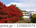 富士見櫓 120883074