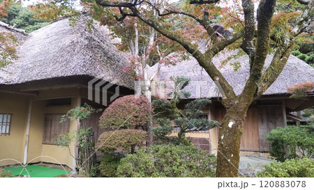 九年庵 佐賀 九年庵 佐賀 120883078