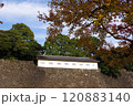 富士見多聞 120883140