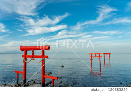 佐賀県太良町 有明海の浅瀬に立つ秋の大魚神社の海中鳥居 佐賀県太良町 有明海の浅瀬に立つ秋の大魚神社の海中鳥居 120883235