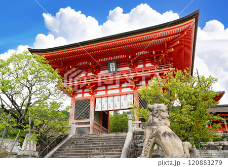 京都市東山区　清水寺 120883279