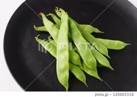 インゲンマメ 120883318