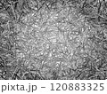 とげとげのテクスチャ(モノクロ） 120883325