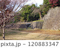 西桔橋 120883347