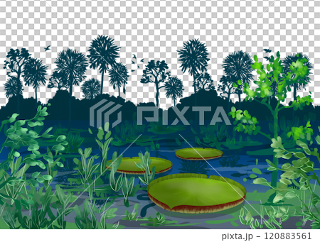 叢林自然插畫 120883561