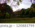 皇居の池と紅葉 120883799