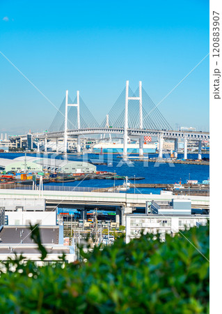 【神奈川県】港の見える丘公園から見える横浜ベイブリッジ 120883907